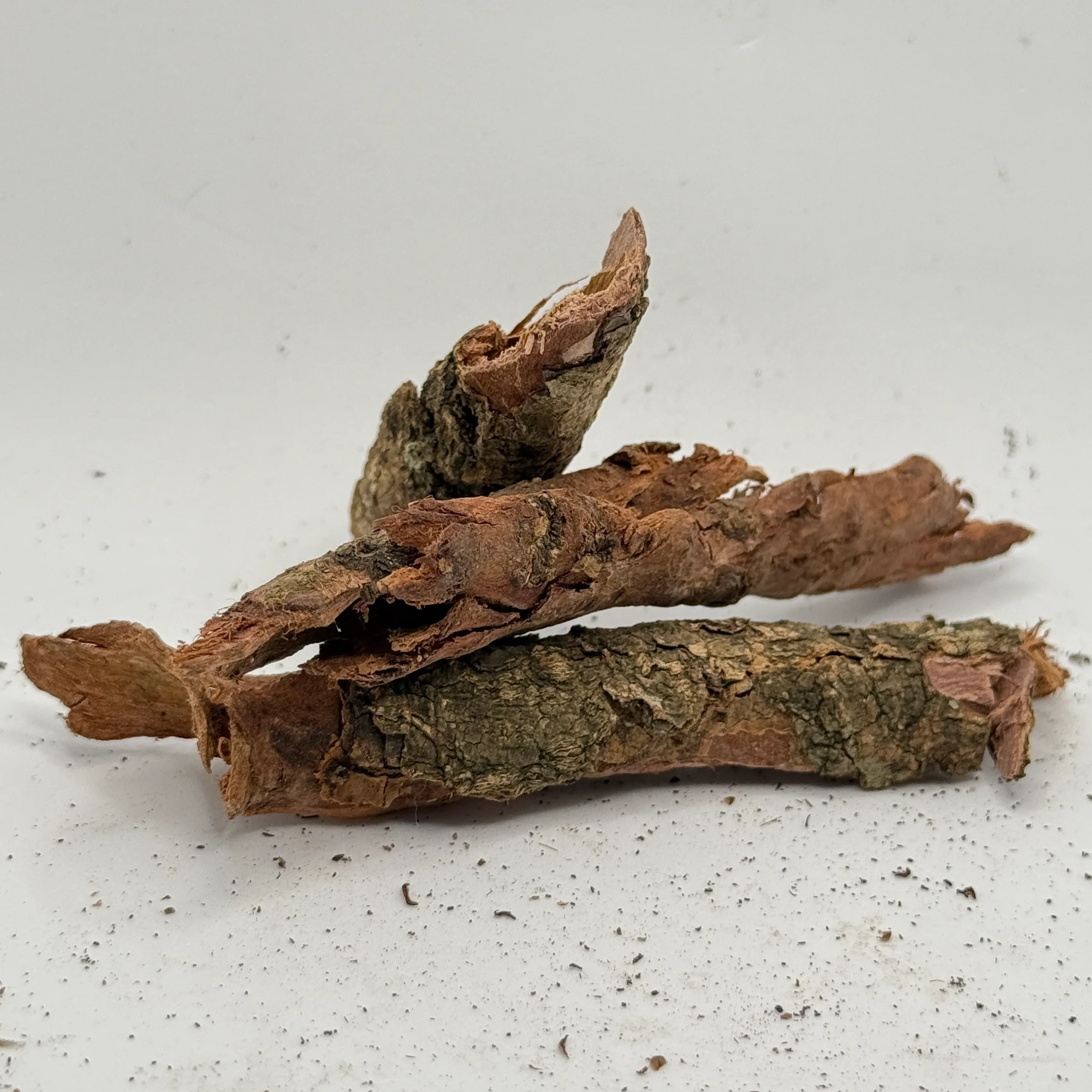 Catappa Bark